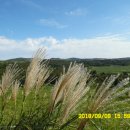 새별오름 이미지