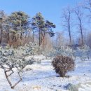 나훔펜션 이미지