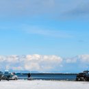 유신교역 이미지