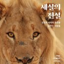 세실관광 티스토리