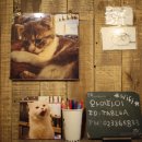 테이블에이 이미지