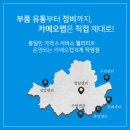 카메오랩청담센터
