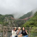 지리산힐링랜드수련원 | 거창 가볼만한곳 거창 항노화힐링랜드 Y자형 출렁다리 후기(주차/기본정보)