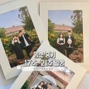 하얏트, 런던베이글, 해피테일즈 바디필로우, 맘스데이 산전복대, 임산부 친환경 꾸러미, 국내선 교통약자