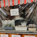 인수동김밥집 이미지
