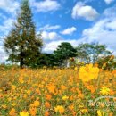 강변공원 이미지