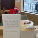 이지워시셀프빨래방 | 이대빨래방 추천! 이지워시 셀프빨래방 이대역점 방문 후기