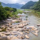 무릉도원면-21 이미지