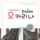 오카리나(입문) 이미지