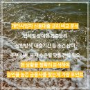 모르면 손해보는 개인사업자 신용대출, 한도 높게 받는 법