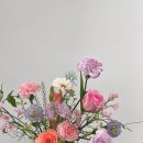 유수플레르 이미지