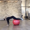 제스트핏 피티샵 이미지