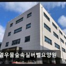 산자락에 | [인천 요양원/추천/후기/가격] 열우물숲속실버벨요양원 24시간 밀착 케어에 최적화
