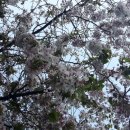 파리바게뜨휘경중앙점 이미지