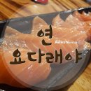 연요다래야 이미지