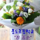 흥도초교 이미지