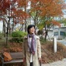 실버건강연구소 이미지