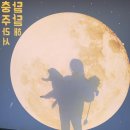 애견운동장 켄싱턴리조트 충주 달콤한순이네