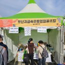 2024 영호남 전통시장 박람회 부산 시민공원서 개최 - 방문후기,먹거리정보,시민공원 행사