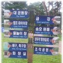 솔밭족구장화장실 Daum카페
