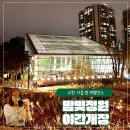 가족머리깎기(야간) | 수원 영흥수목원 야간개장 밤빛정원 후기