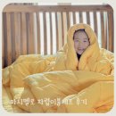 국제세탁 | 마시멜로 알러지케어 차렵이불 세트 세탁 및 유아 사용 후기