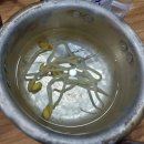 쾌걸쭈꾸미 | 용산 맛집 쾌걸쭈꾸미 방문 후기