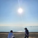 해송피크닉장 이미지