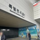 성정유치원 | 국립중앙박물관 인상주의에서 초기 모더니즘까지 전시 관람 후기와 가격 무료입장 도슨트 정보 정리