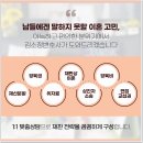 법률사무소명문 이미지