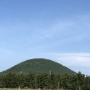 인터포레스트인 네이버블로그