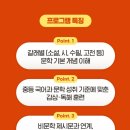 중학교 문학논술 이미지