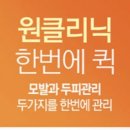 애니시스 이미지