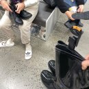호주 농장 | 호주 워홀 농장 콥스하버 라즈베리 픽킹 6월 후기