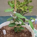 천하고물상 이미지