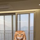 비산로-4 이미지