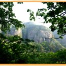 굴이야기 이미지