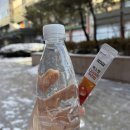 다음펫 | 성수다이어트병원 제로펫 주사 5회차 마지막 내돈내산 솔직 후기 통증, 기간