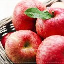 일상의한의원 이미지