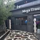 성거-11 | 천안 성거 분위기 좋은 애견동반 대형카페 메가트라움 후기