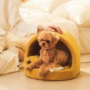 개과천선 이미지