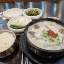 꿀꿀 진순대국 이미지