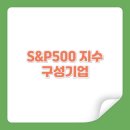 에스엔피 이미지