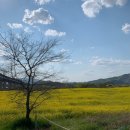 CU목계점 | 4월 넷째주 가계부 결산