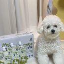 할리농장 | 닥터할리 강아지산양유ㅣ 유산균펫밀크 급여후기