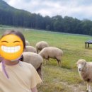 새동네목장 이미지