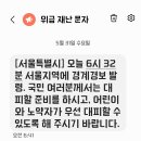 재난문자 온거봐라 개판이네 이미지