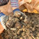 아리울농장 이미지