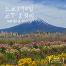 넥스렌트카 | [도쿄 여행] 3박 4일 교통 총정리! 에어부산부터 1500엔 LCB 버스, 72시간 지하철 패스