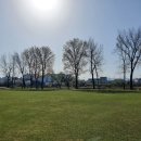 인천새봄초등학교 태양광발전소 | [펌 - 무능하거나, 사기꾼이거나.... 벼농사 그만두고 그 논에서 태양광 발전을 하자는 주장에 관하여]